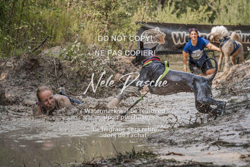 nelerasche_Hoope2026_Sa1500-1530_215 | nelerasche