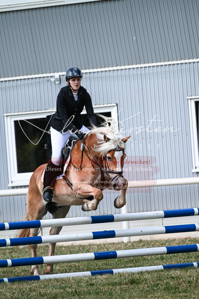 DSC_8744 | Pferde- und Turnierfotografie in Westsachsen. Pferdeportraits, Auftragszeichnungen und intuitive Kunst.