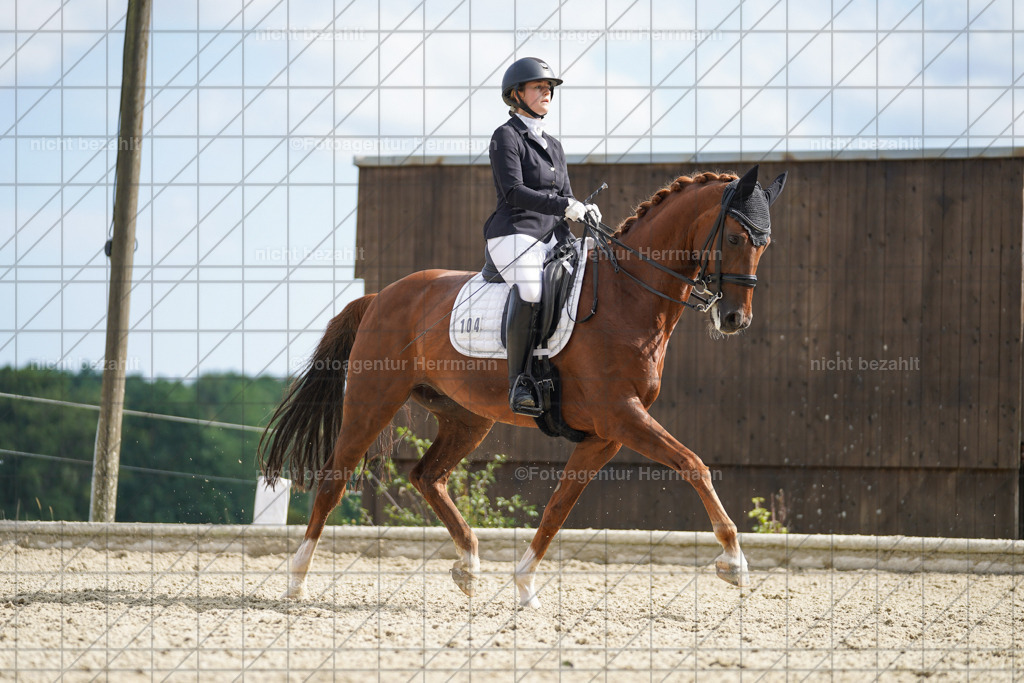 20230826-FAH06149 | Forstinning, 2023, Dressurturnier, Turniersportbilder, Turnierfotografen Bayern, Fotoagentur Herrmann, Reitsportfotografie, Turnierbilder