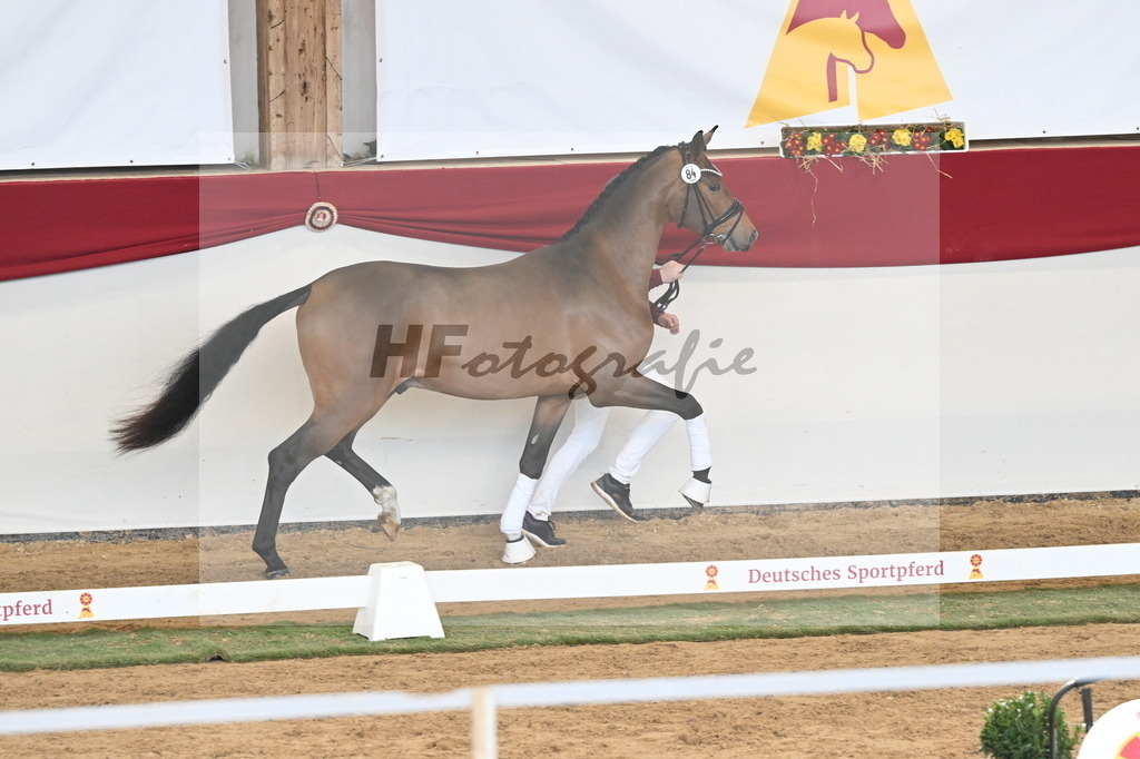 Kat.-Nr. 84 v. Velvedere_Kleinekoerdt_3261222 | hf-fotografie - Realizzato con Pictrs.com