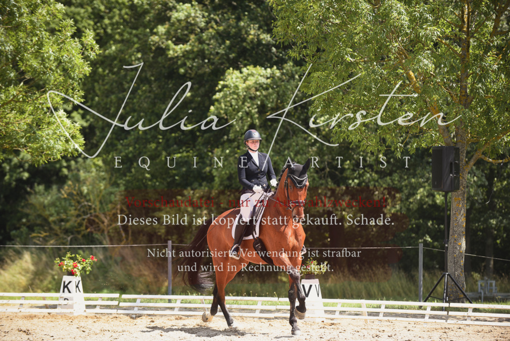 DSC_1326 | Pferde- und Turnierfotografie in Westsachsen. Pferdeportraits, Auftragszeichnungen und intuitive Kunst.