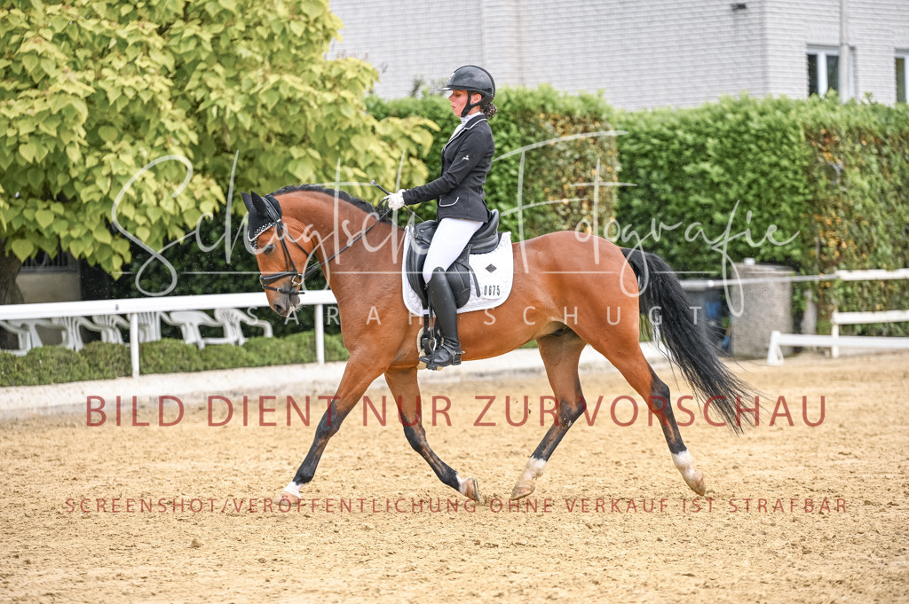 Schugtsche-Aluta25-41.Amat-Dressurprf.A_-469 | Schugtsche Fotografie - Realisiert mit Pictrs.com