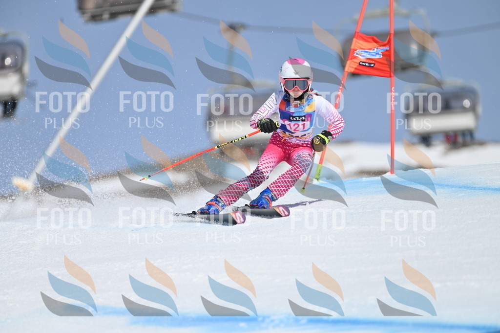 BGV_9822 | holidayphoto