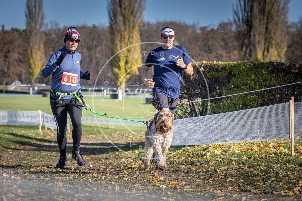 CaniXpix_DV3A9723 | Hundefotografie, Tierfotograf, Pfotenfotografie, Fotoshooting Hund, Hunde Portrait, Hundesport, Hundeportraits, Heideshooting, Hunde, Sportfotograf, Hundefotograf, Turnierhundsport, THS,  - Realisiert mit Pictrs.com