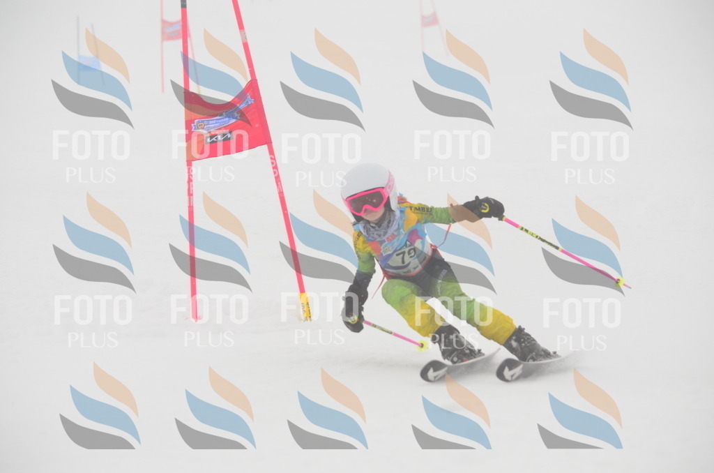 C1224 | holidayphoto