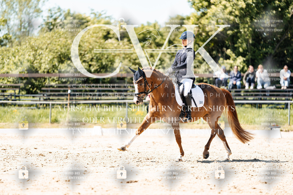 CK905626 | Turnierfotografie Pferdefotografie Trier Rheinland-Pfalz Pferdesport Reitsport Tierfotografie Sportfotografie Pferdevideo Pferdevideografie Equestrianvideography equestrianphotography  - Realisiert mit Pictrs.com