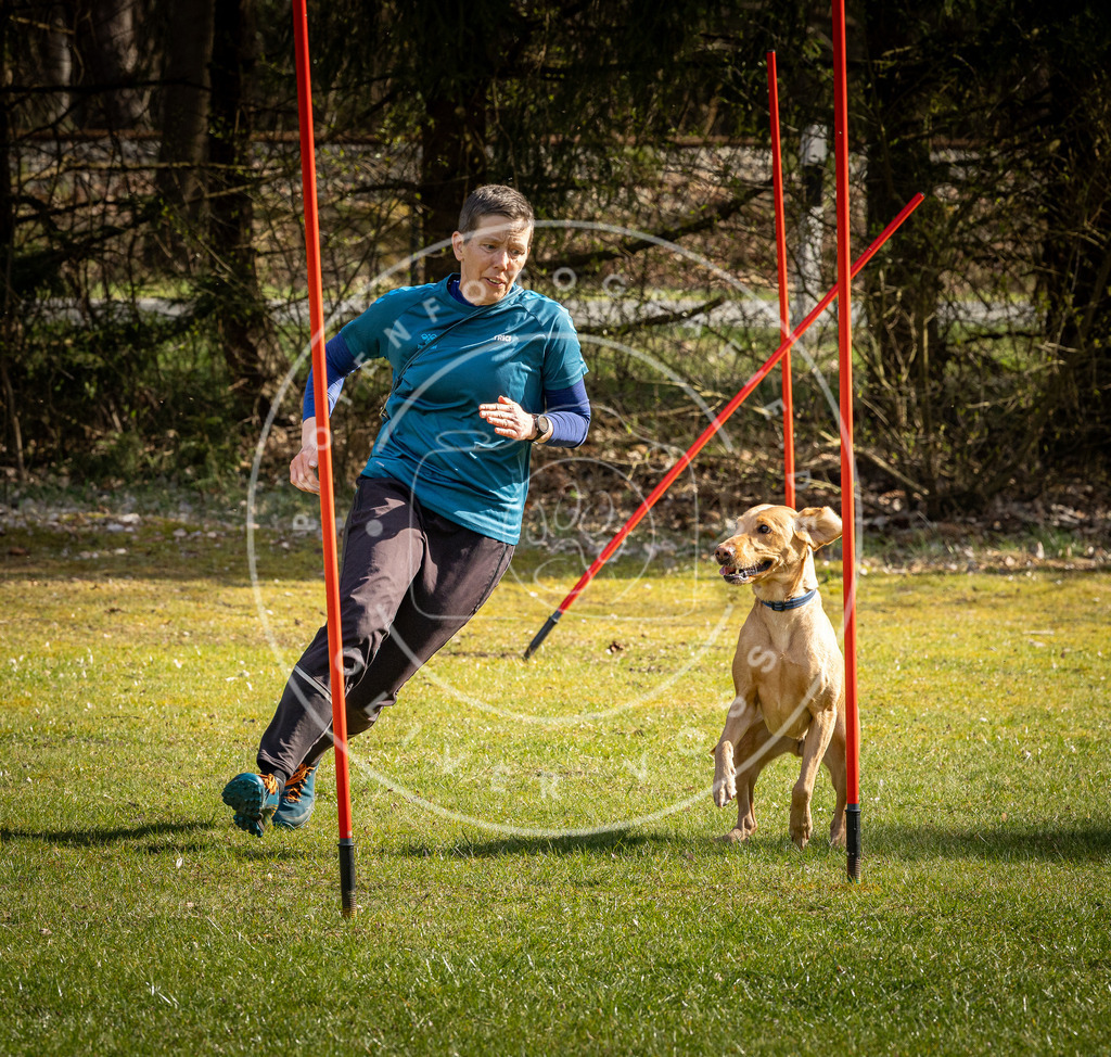 Pfotenfotografie_DV3A1395 | Hundefotografie, Tierfotograf, Pfotenfotografie, Fotoshooting Hund, Hunde Portrait, Hundesport, Hundeportraits, Heideshooting, Hunde, Sportfotograf, Hundefotograf, Turnierhundsport, THS,  - Realisiert mit Pictrs.com