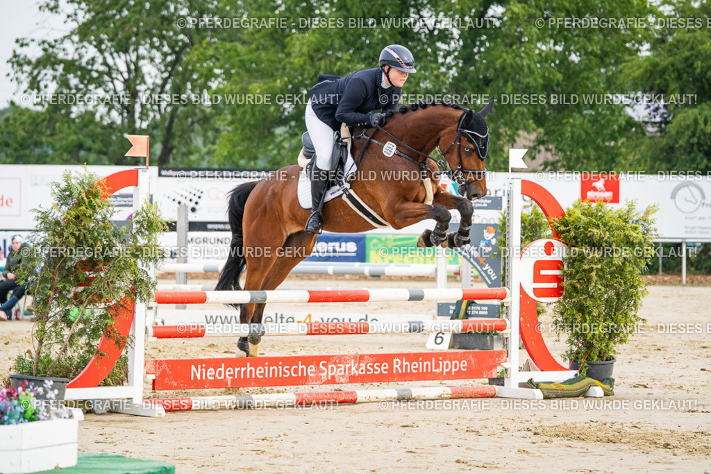 DSC08571 | Pferdegrafie