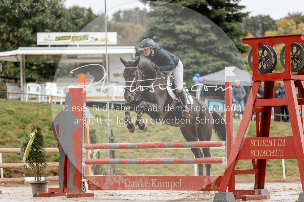 3I6A5547 | Stimmungsvolle Portraits und Reitsportfotografie im Ruhrgebiet und im Münsterland.

Pferdefotografie, Hundefotografie, Tierfotografie, Reportagen, Portraits von Tier und Mensch, Turnierfotografie in Bochum, Recklinghausen, Marl, Haltern am See, Dülmen.. - Realisiert mit Pictrs.com