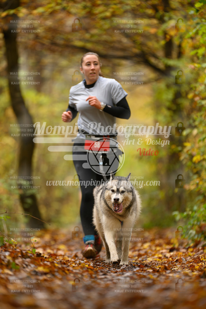 MompixPhotography_CD7S_DI_CCL-31 | mompixphotography