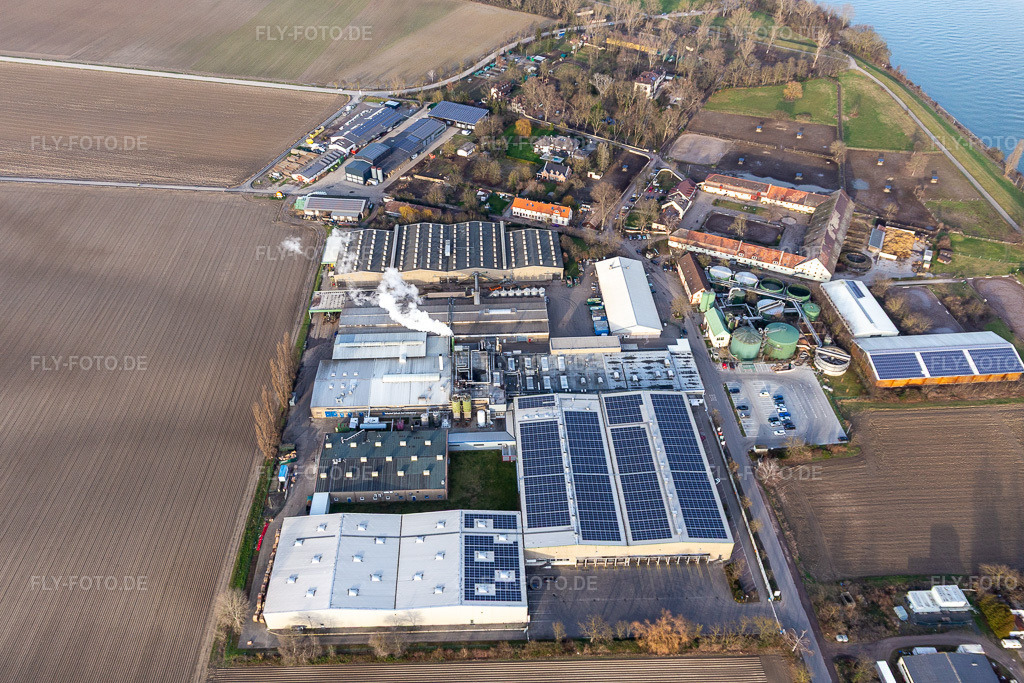 Luftbild: Intersnack Deutschland SE Werk Petersau im Ortsteil Mörsch in Frankenthal im Bundesland Rheinland-Pfalz in Deutschland. Foto: IMG_130538.jpg vom 12.02.2022 durch Werner Riehm/FLY-FOTO.deWWW.INTERSNACK.DE