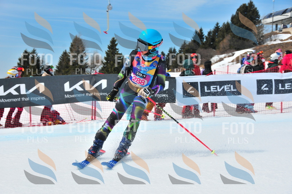 DSC_6438 | holidayphoto