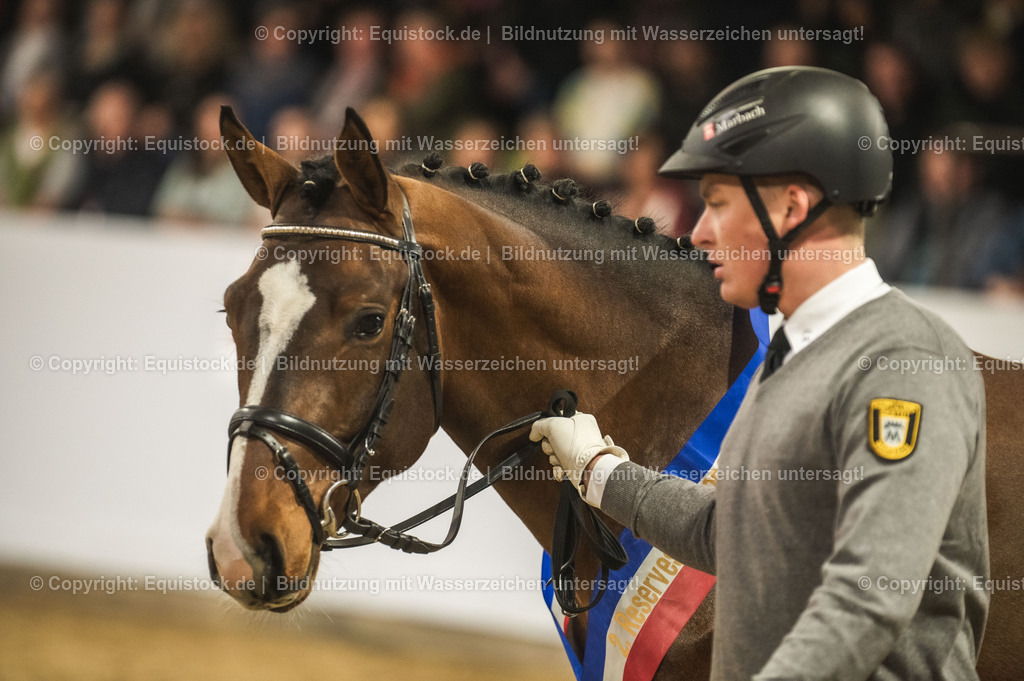 20240302_Hengstvorstellung_Marbach_TOMsPiC_0477-2 | equistock