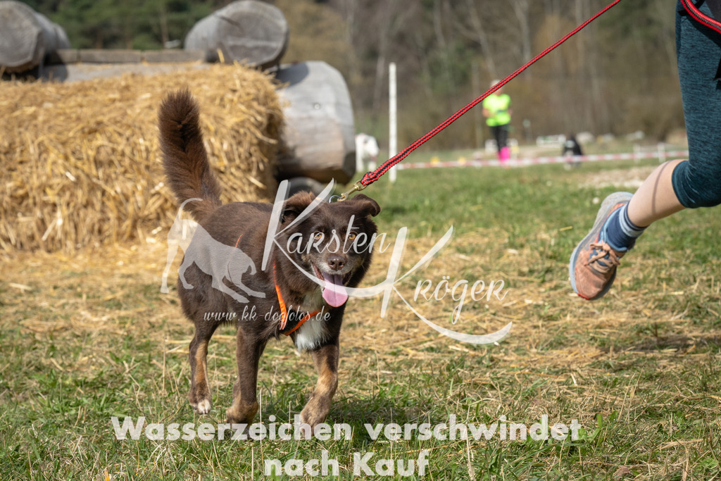 1040_ZZ93302 | kk-dogfotos