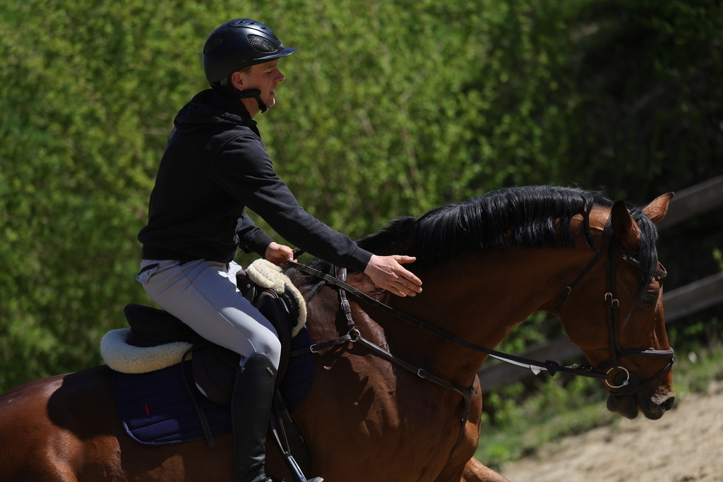 0P6A8179 | Willkommen bei Brunnmayr - Design & Fotografie – Ihrem Spezialisten für Reitturniere und Pferdeveranstaltungen in Oberösterreich, Salzburg und Bayern! Seit über 17 Jahren sind wir leidenschaftlich dabei.