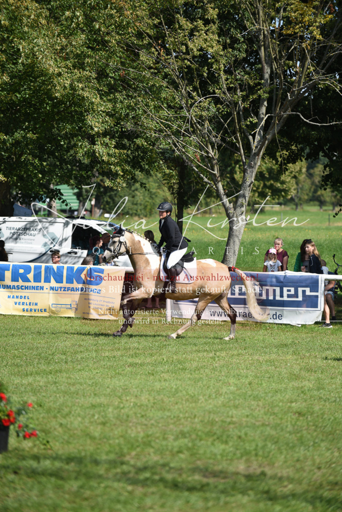 DSC_9081 | Pferde- und Turnierfotografie in Westsachsen. Pferdeportraits, Auftragszeichnungen und intuitive Kunst.