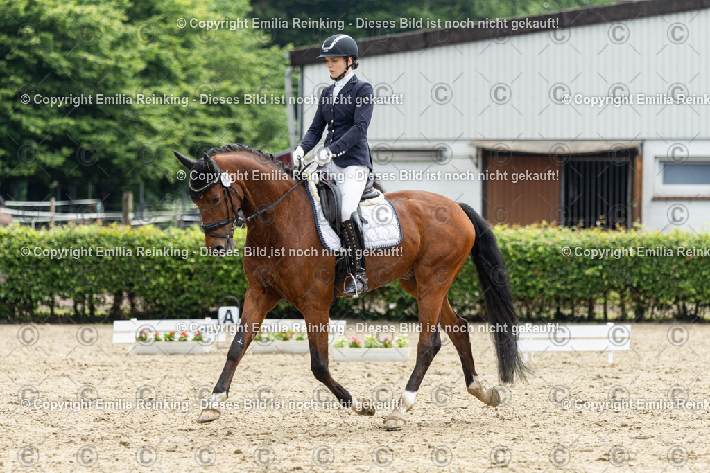 CL5A4774 | Emilia Reinking Fotografie - Realisiert mit Pictrs.com