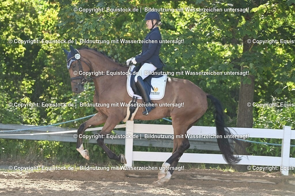 20230715_06_Dressurpferdeprfg. Kl.A_0218 | equistock