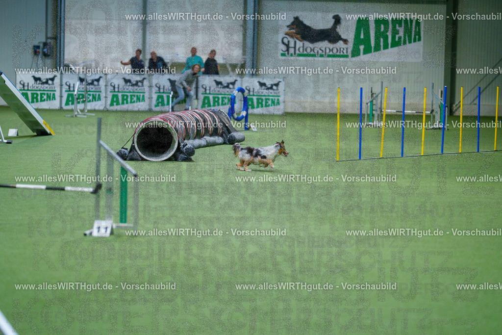 @allesWIRTHgut_Tierfotografie - www.allesWIRTHgut.de - 2604250841-7R507436 | Professionelle Tierfotografie in Mönchengladbach von Daniel Wirth (allesWIRTHgut). Liebevolle & natürliche Bilder von Hunden & Katzen für unvergessliche Erinnerungen.