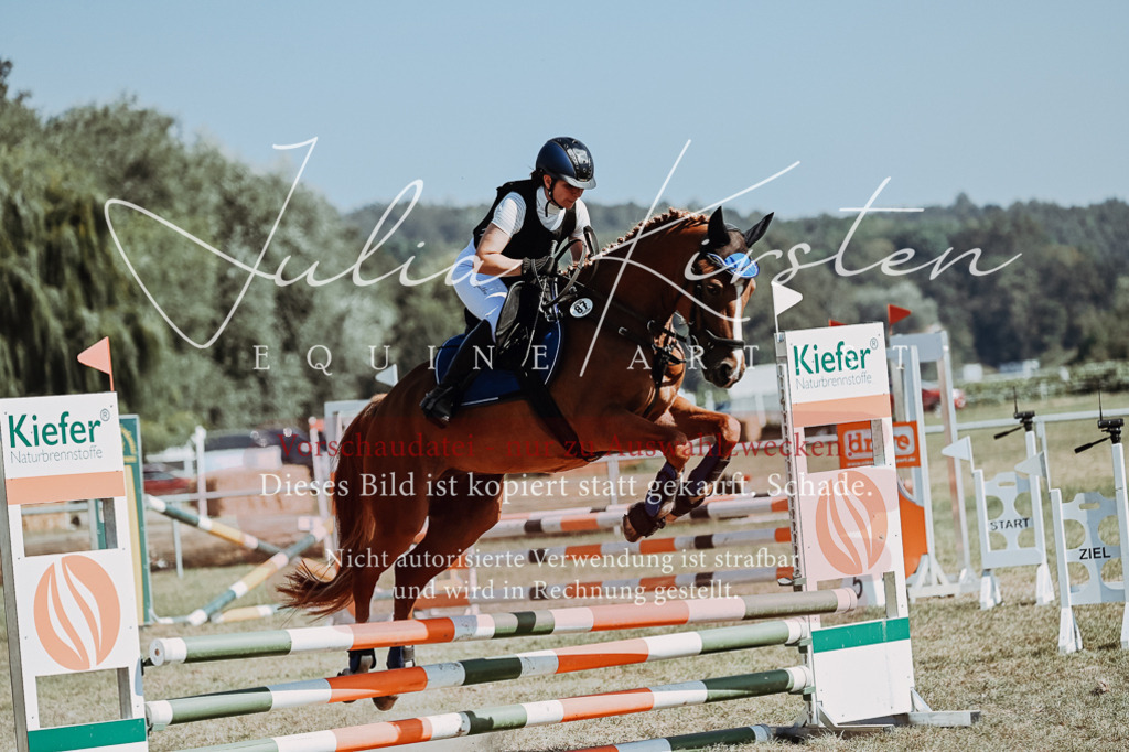 DSC_9635 | Pferde- und Turnierfotografie in Westsachsen. Pferdeportraits, Auftragszeichnungen und intuitive Kunst.