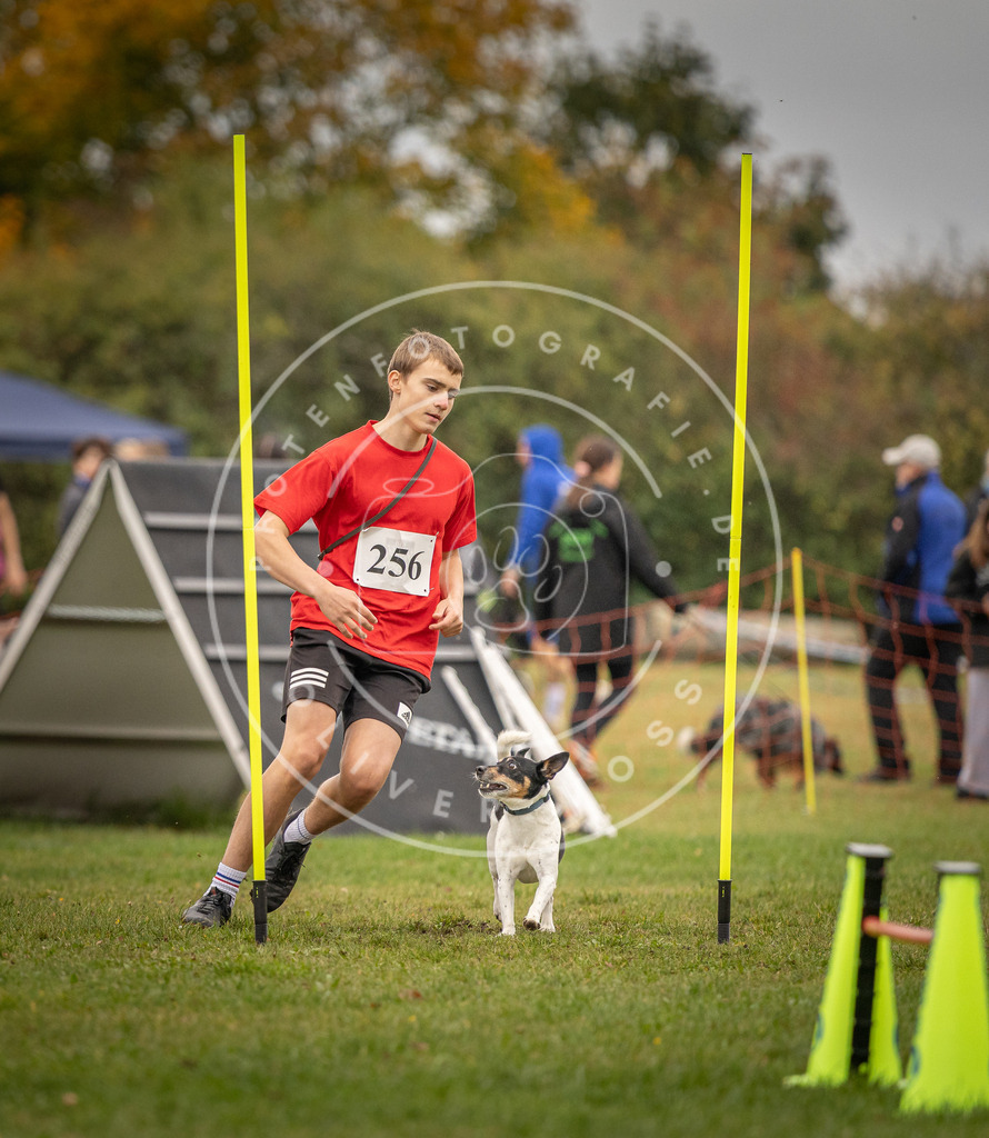 Pfotenfotografie_DV3A6690 | Hundefotografie, Tierfotograf, Pfotenfotografie, Fotoshooting Hund, Hunde Portrait, Hundesport, Hundeportraits, Heideshooting, Hunde, Sportfotograf, Hundefotograf, Turnierhundsport, THS,  - Realisiert mit Pictrs.com