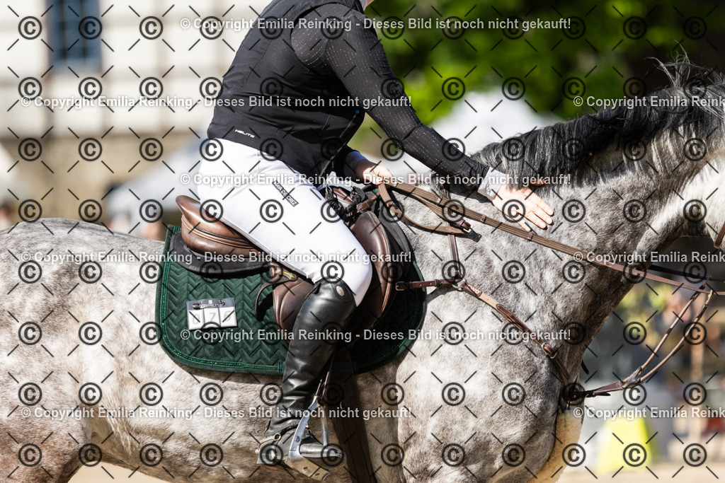 CL5A4945 | Emilia Reinking Fotografie - Realisiert mit Pictrs.com