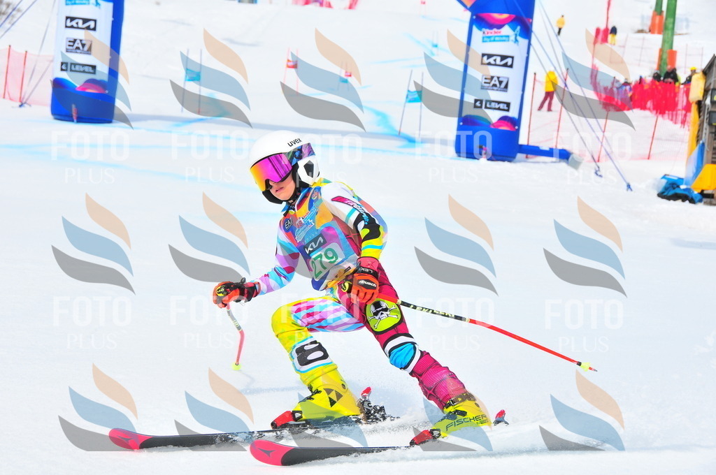 DSC_2605 | holidayphoto