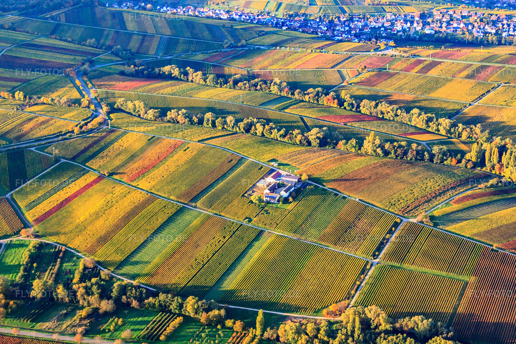 Luftbild: Weingut Erlenwein Wacholderstraße in Ilbesheim bei Landau im Bundesland Rheinland-Pfalz in Deutschland. Foto: IMG_60610.jpg vom 24.10.2013 durch Werner Riehm/FLY-FOTO.de