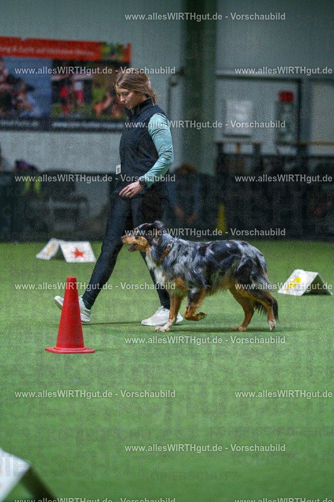 7R503104 | Professionelle Tierfotografie in Mönchengladbach von Daniel Wirth (allesWIRTHgut). Liebevolle & natürliche Bilder von Hunden & Katzen für unvergessliche Erinnerungen.
