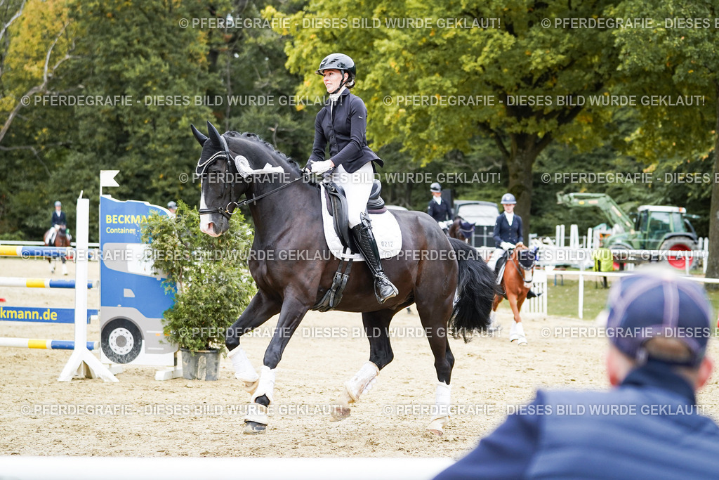 DSC02471 | Pferdegrafie