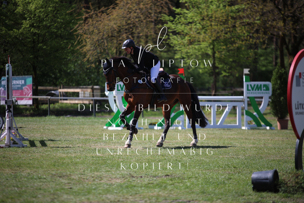 IMGT1137 | pl-fotografie