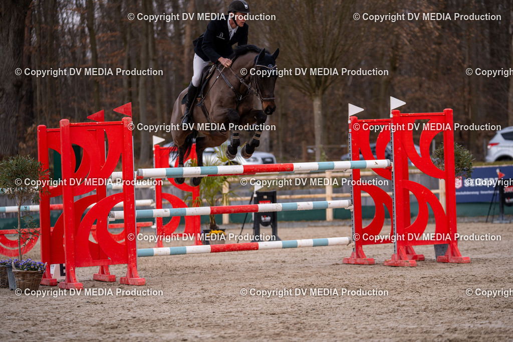 Kranichstein Tag 2-2183 | dv-media-shop - Realisiert mit Pictrs.com