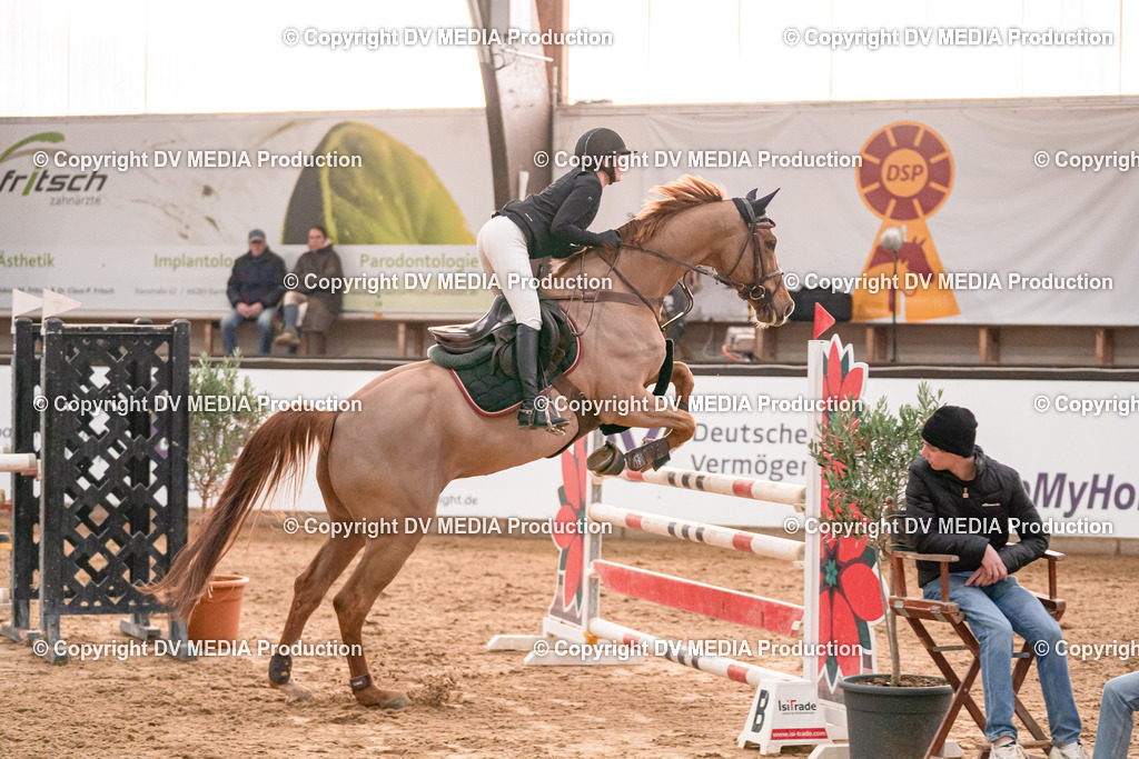 Kranichstein II Tag 1-724 | dv-media-shop - Realisiert mit Pictrs.com