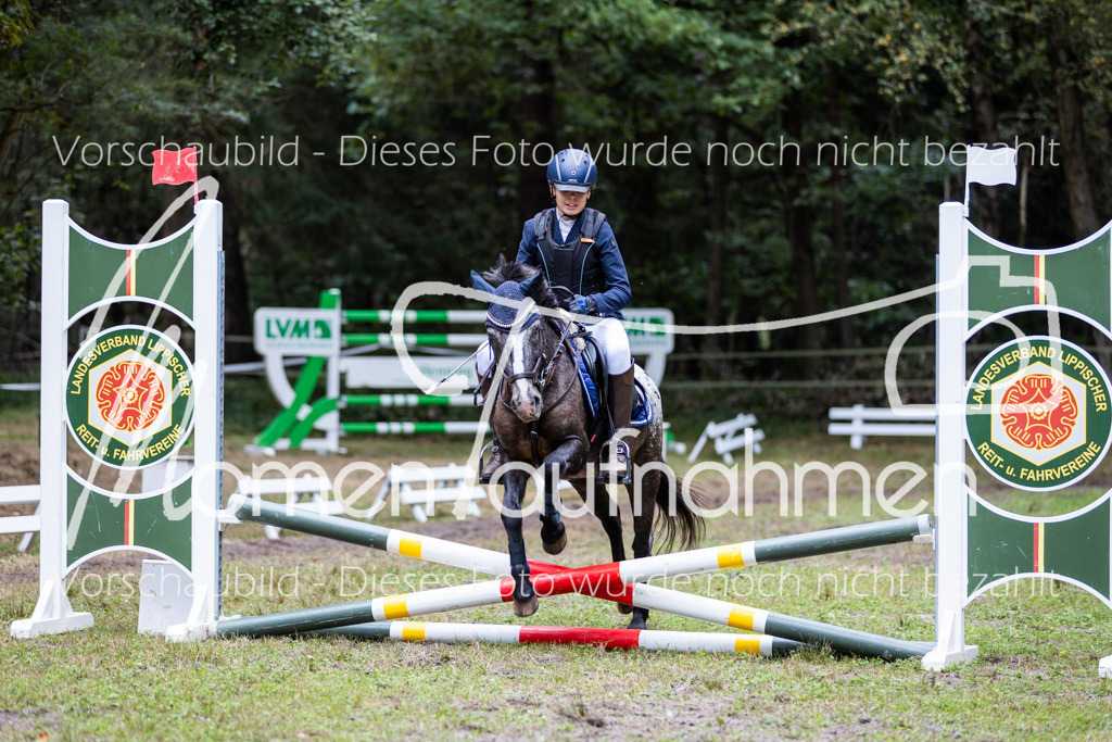 HB-Caprilli-033 | MomenTaufnahmen Pferdesportfotos