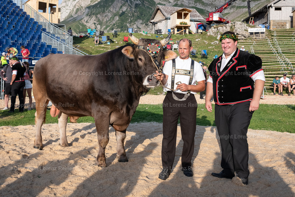 Schwingen -  Schwägalpschwinget 2023 | Schwägalp, 20.8.23, Schwingen - Schwägalpschwinget.