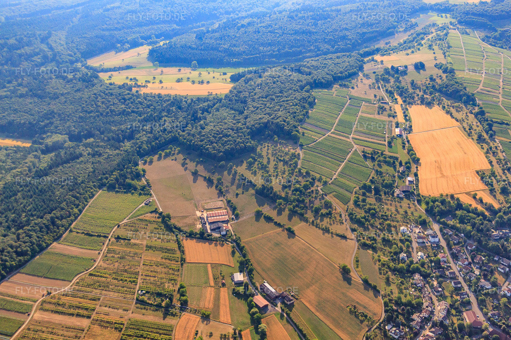 Luftbild: Weinlage Keulenbuckel im Ortsteil Ellmendingen in Keltern im Bundesland Baden-Württemberg in Deutschland. Foto: IMG_69911.jpg vom 06.07.2014 durch Werner Riehm/FLY-FOTO.de