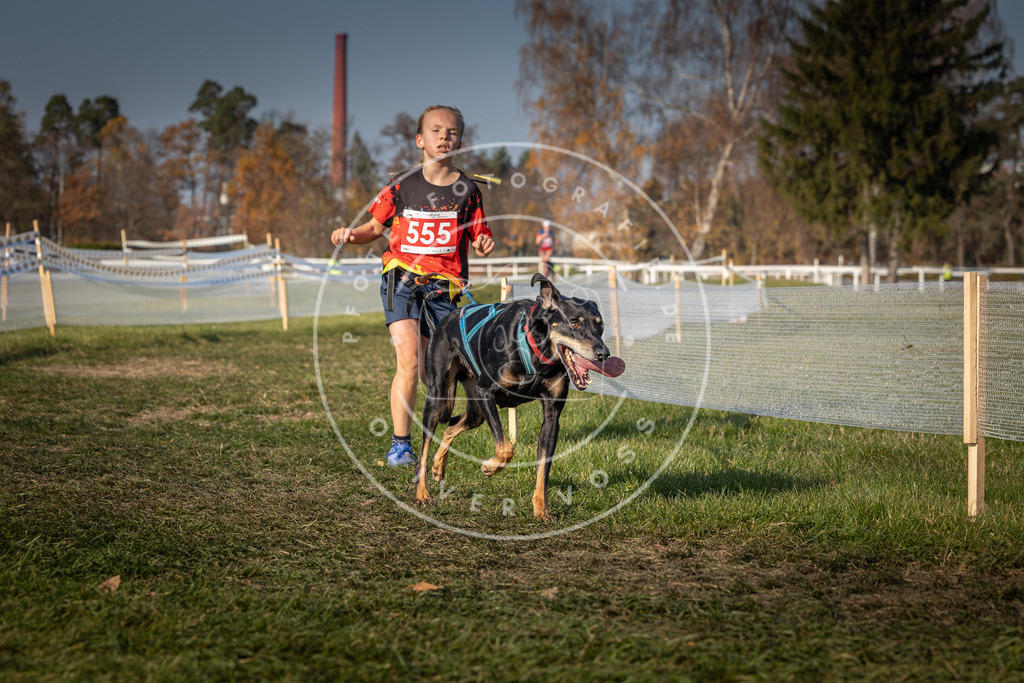 CaniXpix_0L8A9135 | Hundefotografie, Tierfotograf, Pfotenfotografie, Fotoshooting Hund, Hunde Portrait, Hundesport, Hundeportraits, Heideshooting, Hunde, Sportfotograf, Hundefotograf, Turnierhundsport, THS,  - Realisiert mit Pictrs.com