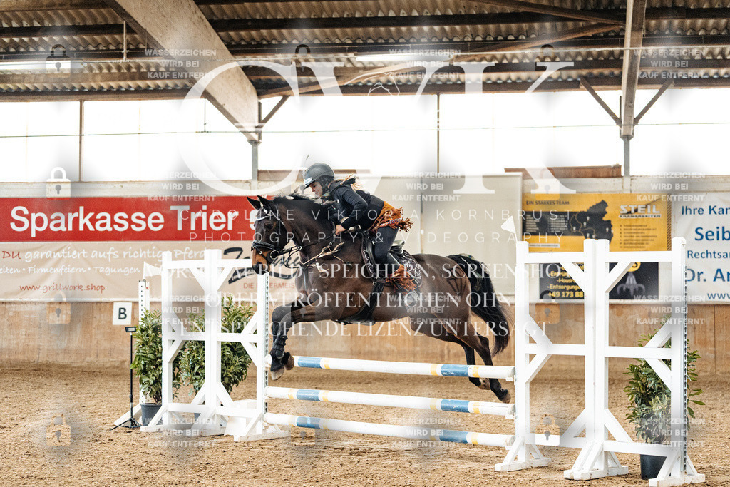 CK905520 | Turnierfotografie Pferdefotografie Trier Rheinland-Pfalz Pferdesport Reitsport Tierfotografie Sportfotografie Pferdevideo Pferdevideografie Equestrianvideography equestrianphotography  - Realisiert mit Pictrs.com