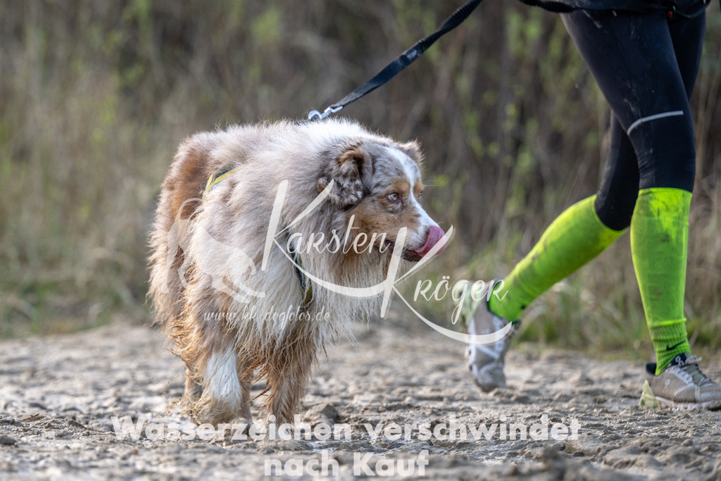 1639_ZZ93240 | kk-dogfotos