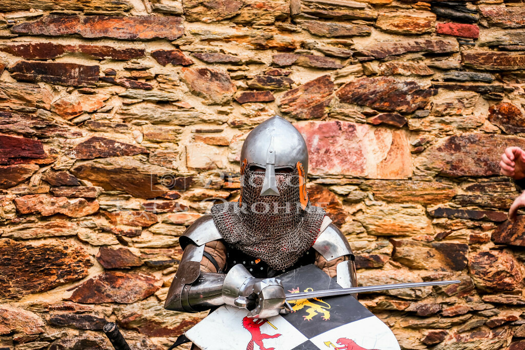 Rheinfels Ritter-3077 | Burg Ruine Rheinfels ist die größte Festungsanlage zwischen Koblenz und Bingen am Oberen Mittelrhein. - Realisiert mit Pictrs.com