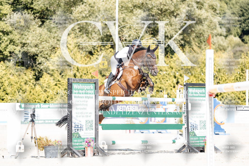CK909080 | Turnierfotografie Pferdefotografie Trier Rheinland-Pfalz Pferdesport Reitsport Tierfotografie Sportfotografie Pferdevideo Pferdevideografie Equestrianvideography equestrianphotography  - Realisiert mit Pictrs.com