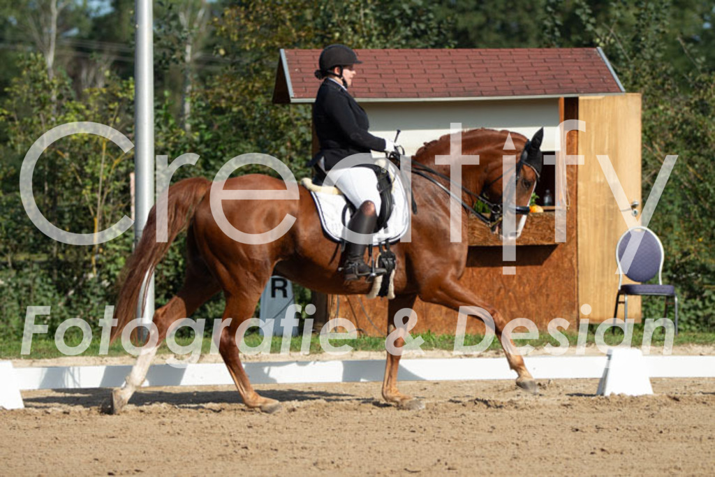 IMG_0432 | Creatify Fotografie