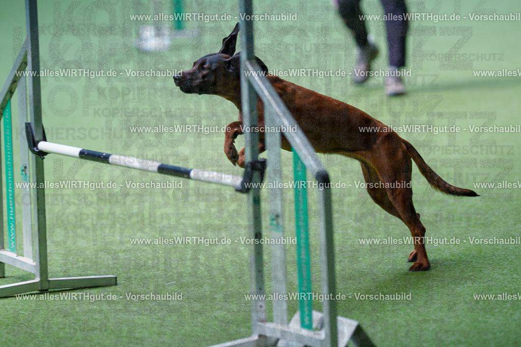 @allesWIRTHgut_Tierfotografie - www.allesWIRTHgut.de - 2604251235-7R502171 | Professionelle Tierfotografie in Mönchengladbach von Daniel Wirth (allesWIRTHgut). Liebevolle & natürliche Bilder von Hunden & Katzen für unvergessliche Erinnerungen.
