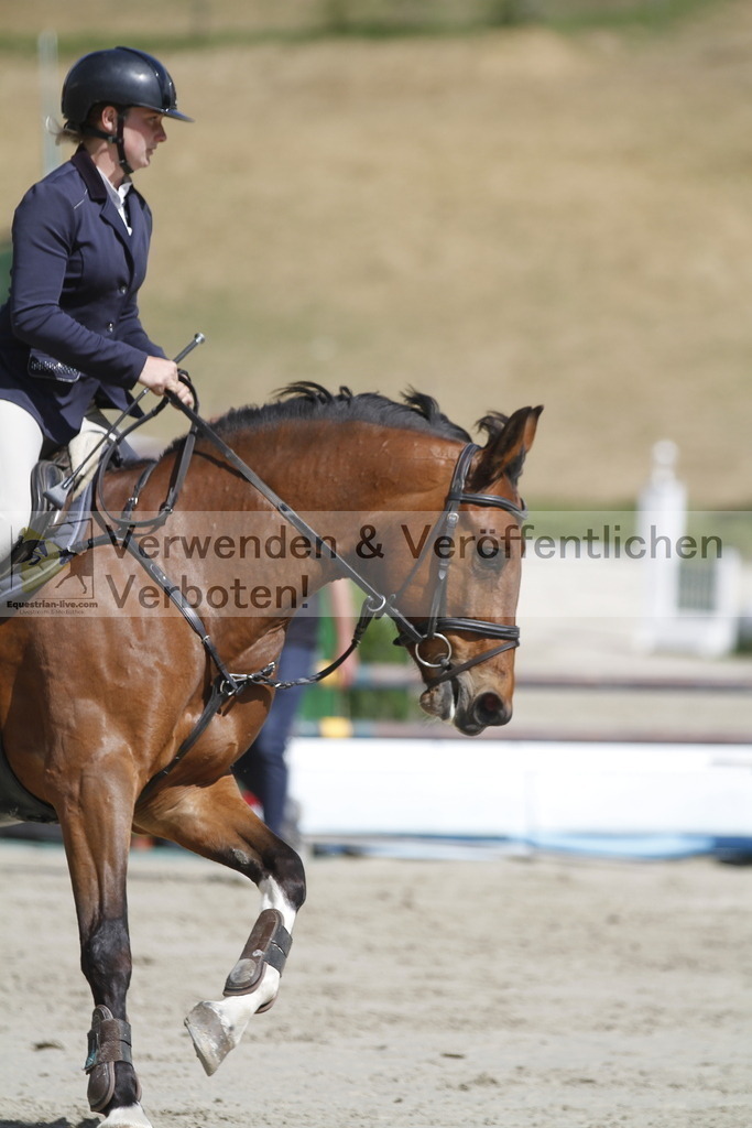 _MG_5115 | equestrian-live-com