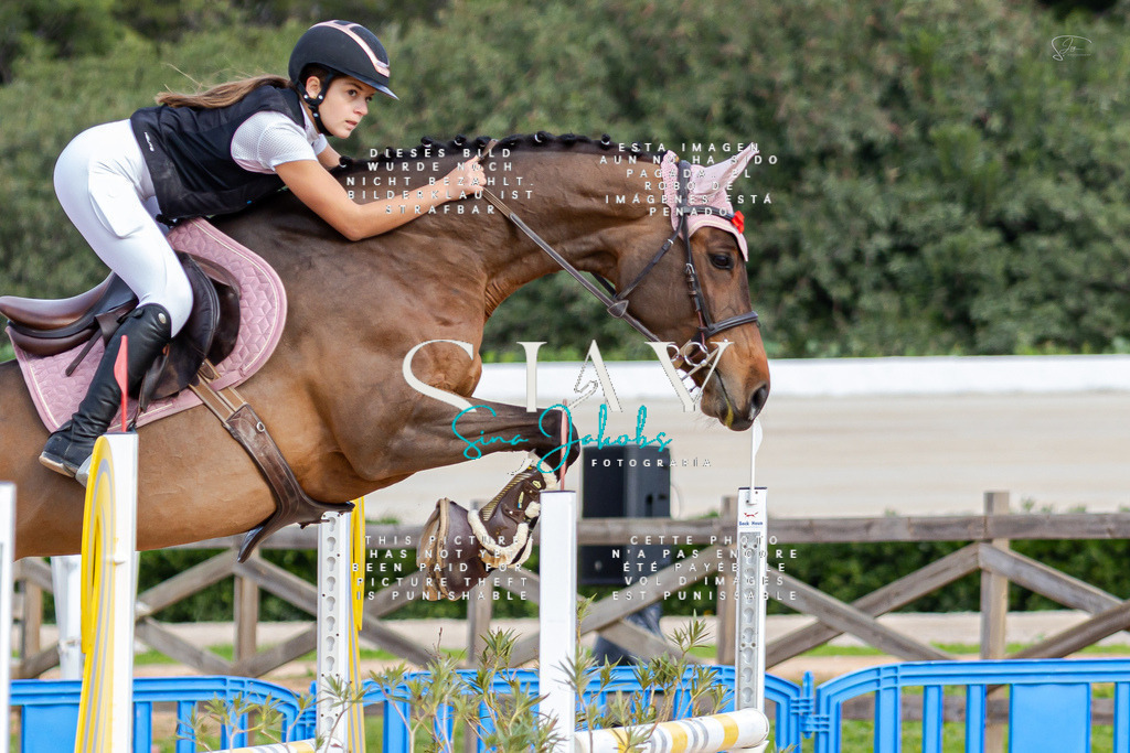 IMG_2838 | s-jay-photography - Realisiert mit Pictrs.com