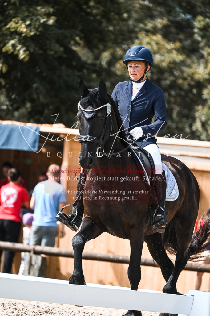 DSC_5389 | Pferde- und Turnierfotografie in Westsachsen. Pferdeportraits, Auftragszeichnungen und intuitive Kunst.