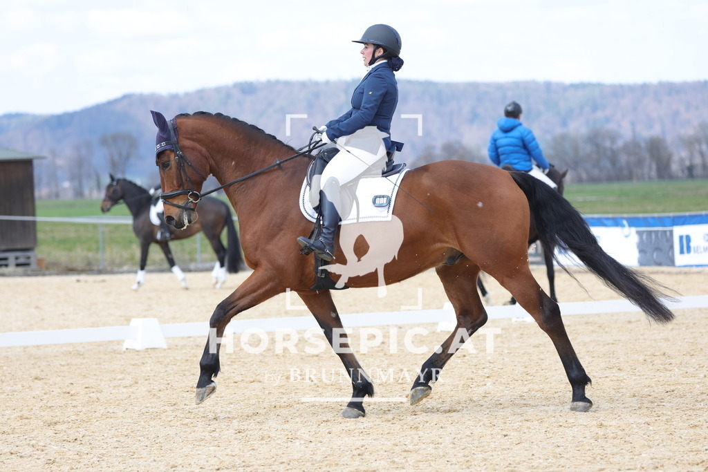 0P6A7603 | Willkommen bei Brunnmayr - Design & Fotografie – Ihrem Spezialisten für Reitturniere und Pferdeveranstaltungen in Oberösterreich, Salzburg und Bayern! Seit über 17 Jahren sind wir leidenschaftlich dabei.