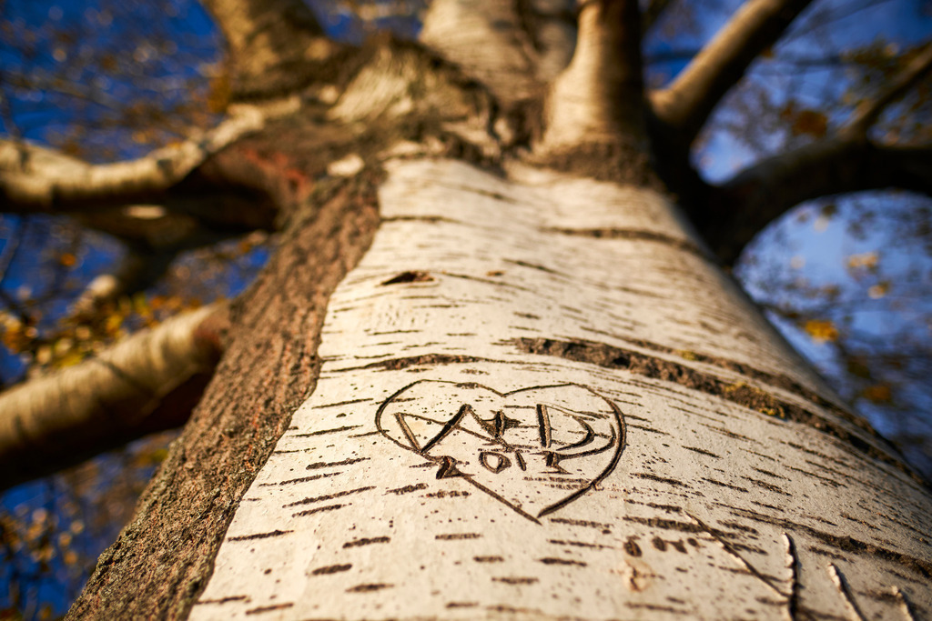 Initialen mit Herz auf einer Baumrinde | Wien, Austria - November 05, 2021: Initialen mit Herz auf einer Baumrinde mit Baumkrone. - Realisiert mit Pictrs.com