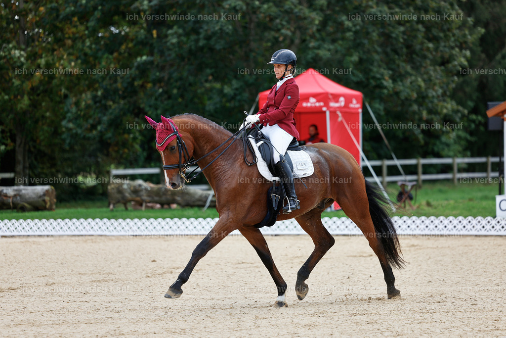04_1-149-Dressur M__ -StoibPH-StoibPH-2619 | working equitationturnier fotograf videograf stoibphotography marixx film working equitation deutschland reitsport turnierfotografie eventfotografie equestrian events