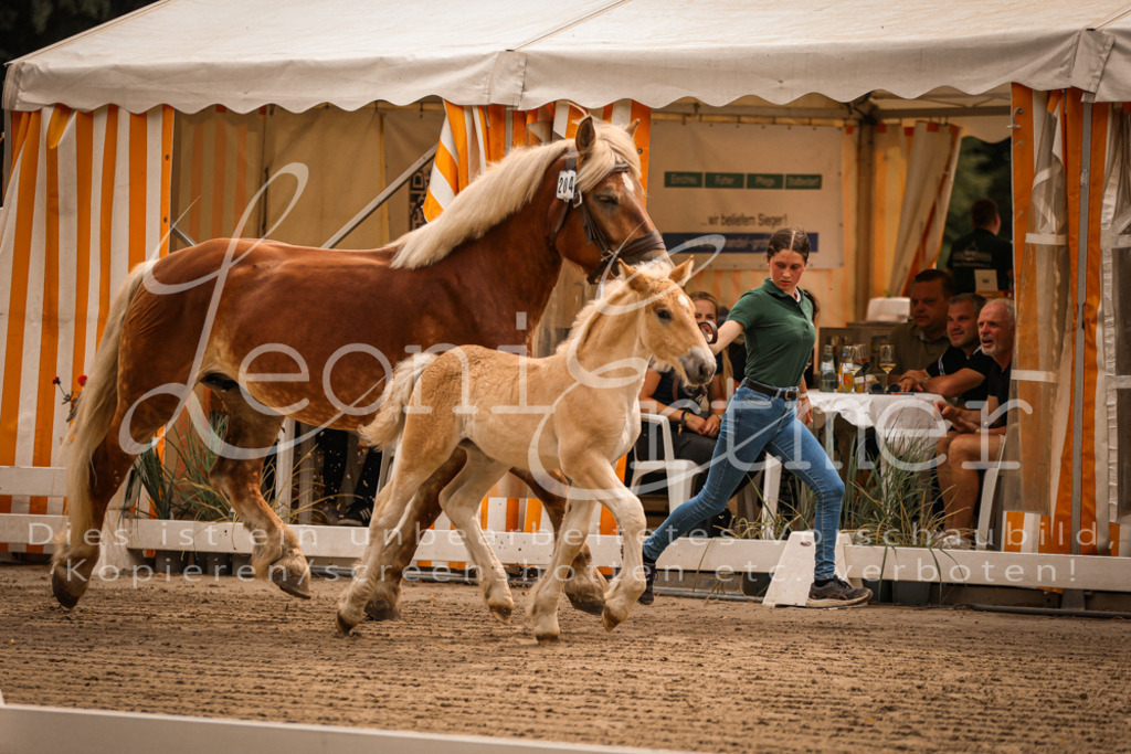 SaSF00009 | Leoni Ertmer Photography - Realisiert mit Pictrs.com